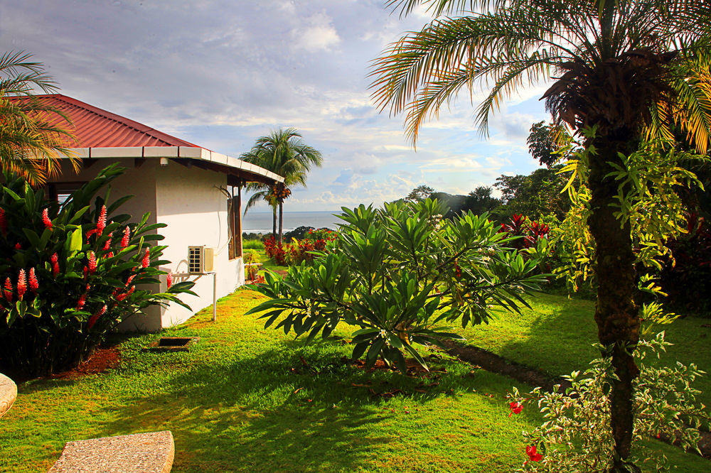 Hotel Lookout Playa Tortuga Ojochal Exterior foto